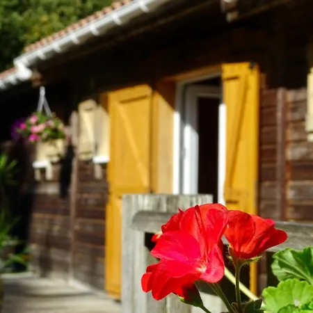 Les Chalets Cobadena-Borda Pays Basque Mouguerre Extérieur photo